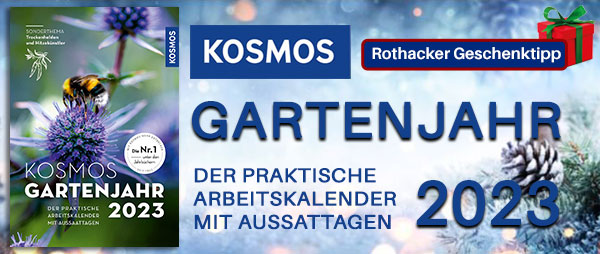 NEU und limitiert!