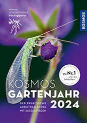 NEU