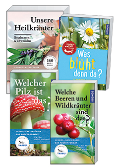 Jetzt -50%
