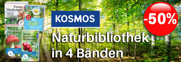 Jetzt 50% günstiger!