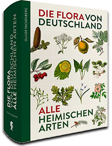 NEU!