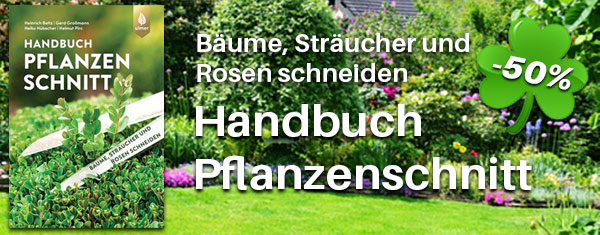 Jetzt 50% günstiger!