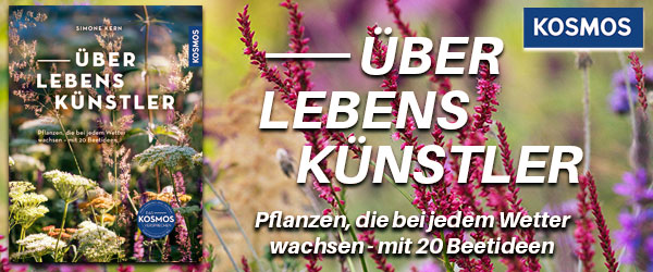 *NEU*