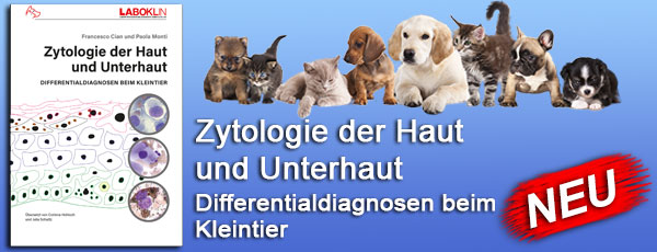 NEU!